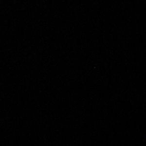 Meet your Posher, Pauline